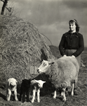 95046 Afbeelding van de dochter van boer Van de Bilt (Huppeldijk 2) te Utrecht, met een schaap en drie lammetjes.